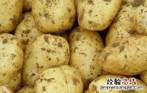 土豆真的能去痘印吗知乎 土豆真的能去痘印吗