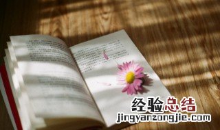 洼的拼音和组词 洼如何读