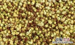 吴茱萸的营养价值