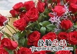 玫瑰和牡丹一样吗 乌丹玫瑰花与普通玫瑰的区别