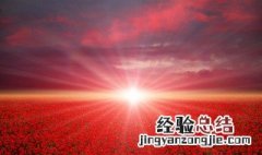 有共同爱好的人用什么成语形容他 有共同爱好的人用什么成语形容