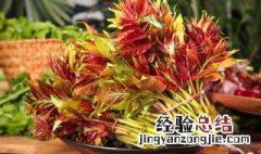 腌香椿对身体的害处 腌香椿对身体的害处图片