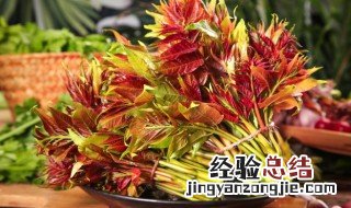 腌香椿对身体的害处 腌香椿对身体的害处图片
