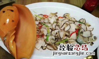 椰子螺怎么吃 怎么吃椰子螺