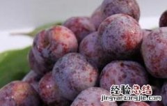 四川青红脆李的功效与作用 四川脆红李的功效与作用