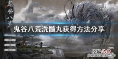 鬼谷八荒洗髓丸在哪弄 鬼谷八荒洗髓丸在哪买