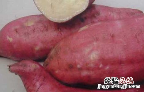 红薯的功效与作用 红薯的功效与作用与主治