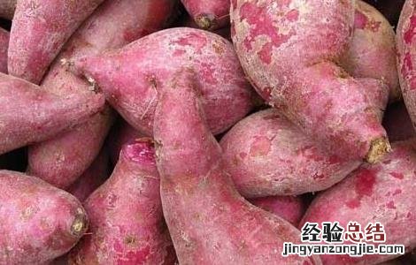 红薯的功效与作用 红薯的功效与作用与主治