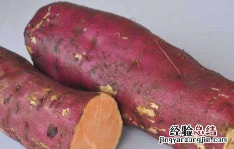红薯的营养价值 红薯的营养价值有哪些