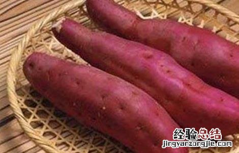红薯的营养价值 红薯的营养价值有哪些