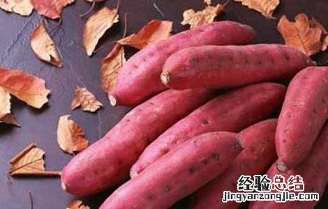 红薯的营养价值 红薯的营养价值有哪些
