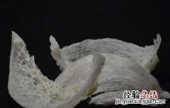 燕窝什么时候吃最好 小仙炖燕窝什么时候吃最好