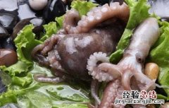 章鱼的功效与作用及食用方法 章鱼的功效与作用