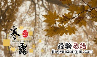 寒露是什么意思是什么 寒露的意思是什么意思