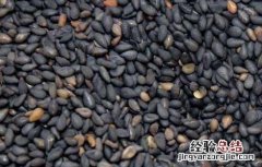 黑芝麻的营养价值与功效,每天吃多少? 黑芝麻的营养价值