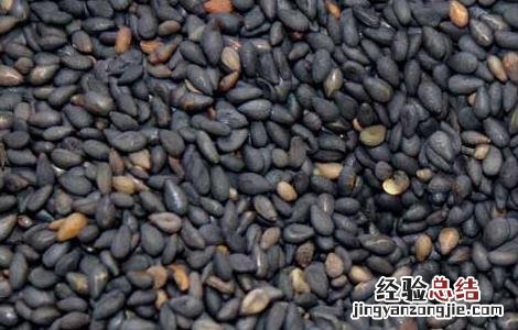 黑芝麻的营养价值与功效,每天吃多少? 黑芝麻的营养价值
