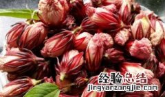 冰糖泡洛神花的功效与禁忌 洛神花的功效与禁忌