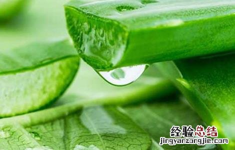 芦荟怎样祛斑才好 芦荟怎样祛斑才好用