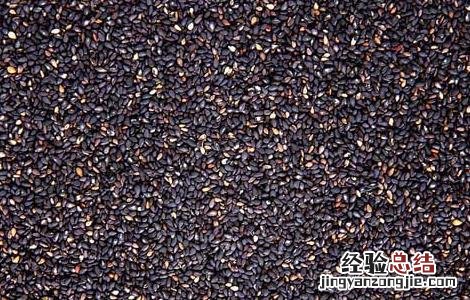 芝麻的功效与作用 白芝麻的功效与作用