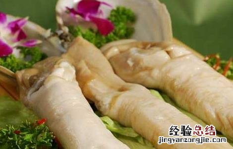 象拔蚌的营养价值及功效与作用 象拔蚌的营养价值