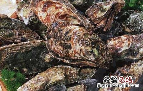 蛤蜊的营养价值