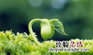 成长的味道作文400字 关于成长的滋味作文400字