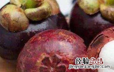 山竹怎么做茶 山竹怎么做茶好喝