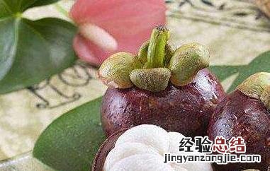 山竹茶的功效与作用 山竹茶的功效与作用及禁忌