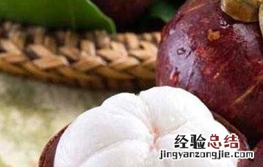 山竹茶的功效与作用 山竹茶的功效与作用及禁忌
