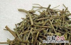 猫须草茶的功效与作用 猫须草茶的功效与作用是什么