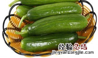 无刺形水果黄瓜属于什么型 无刺形水果黄瓜属于什么型状