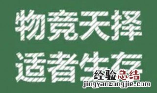 物竞天择适者生存是谁说的 物竞天择适者生存是谁说的是谁翻译的