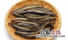 泥鳅怎么煮 水煮泥鳅的做法