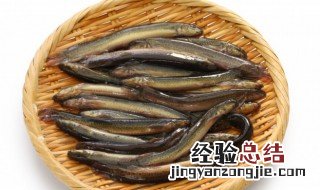 泥鳅怎么煮 水煮泥鳅的做法