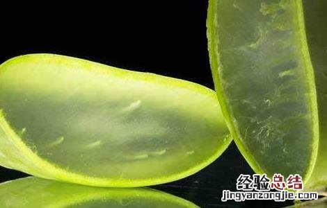 库拉索芦荟怎么护肤 库拉索芦荟怎么护肤效果好