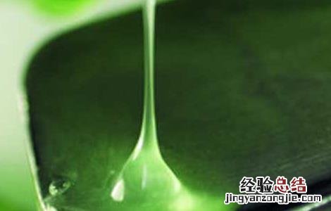 新鲜芦荟的正确用法视频 新鲜芦荟的正确用法