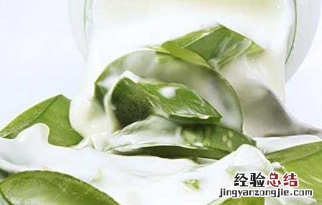 新鲜芦荟的正确用法视频 新鲜芦荟的正确用法