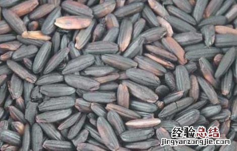 黑米吃多了会怎么样 黑米吃多了好吗黑米吃多了好不
