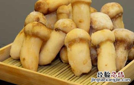 松茸的营养价值 松茸的营养价值及功效与作用