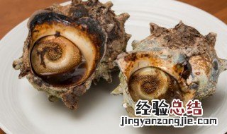 螺怎么煮 海螺的煮法