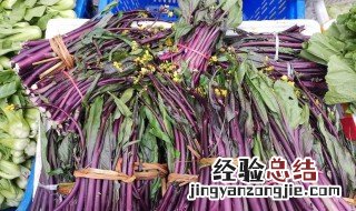 红菜苔 营养 红菜苔补血吗