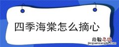 四季海棠怎么摘心视频 四季海棠怎么摘心