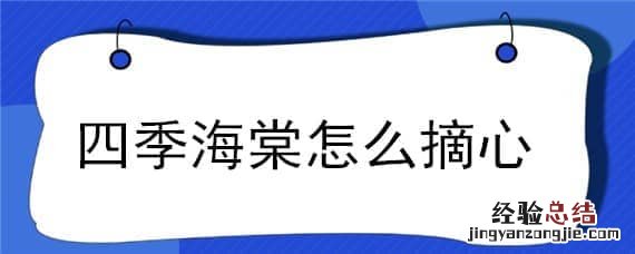 四季海棠怎么摘心视频 四季海棠怎么摘心