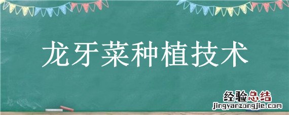龙牙菜种植技术 龙牙豆种植方法