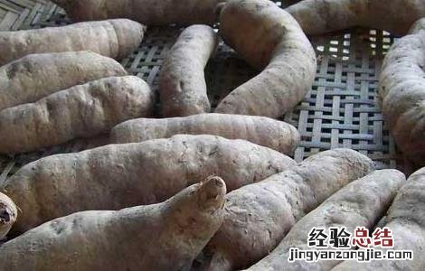吃不完的新鲜天麻怎么保存 新鲜天麻怎么保存
