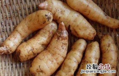 吃不完的新鲜天麻怎么保存 新鲜天麻怎么保存