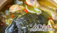 甲鱼放什么材料煲汤 炖甲鱼汤放什么食材最好窍门