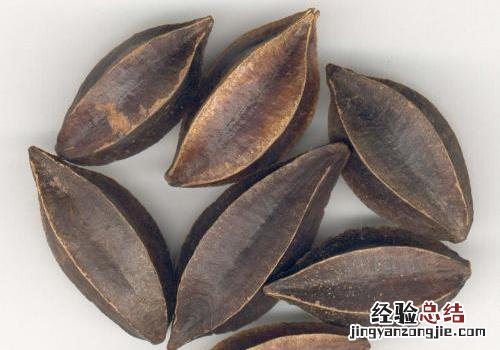 使君子的营养价值