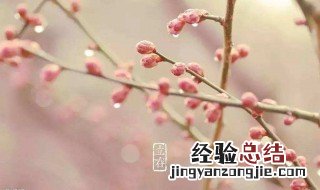 节气立春什么意思 节气立春的含义是什么呢？