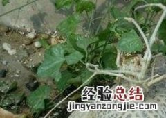 睡袋的作用 睡布袋作用